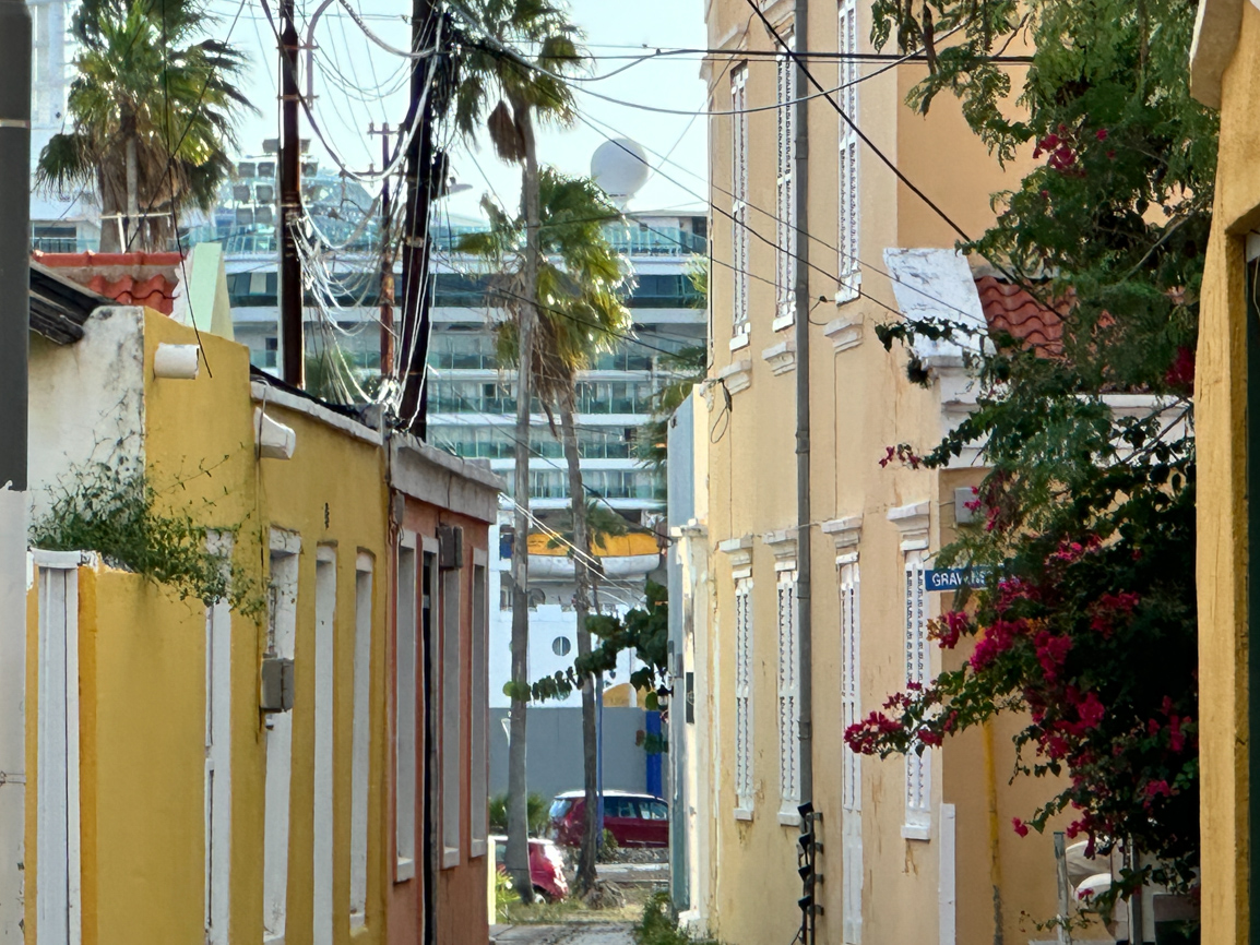 Straat in de bario met palen, bloemen en een cruiseschip in de verte — foto gemaakt door een jongere tijdens de workshop